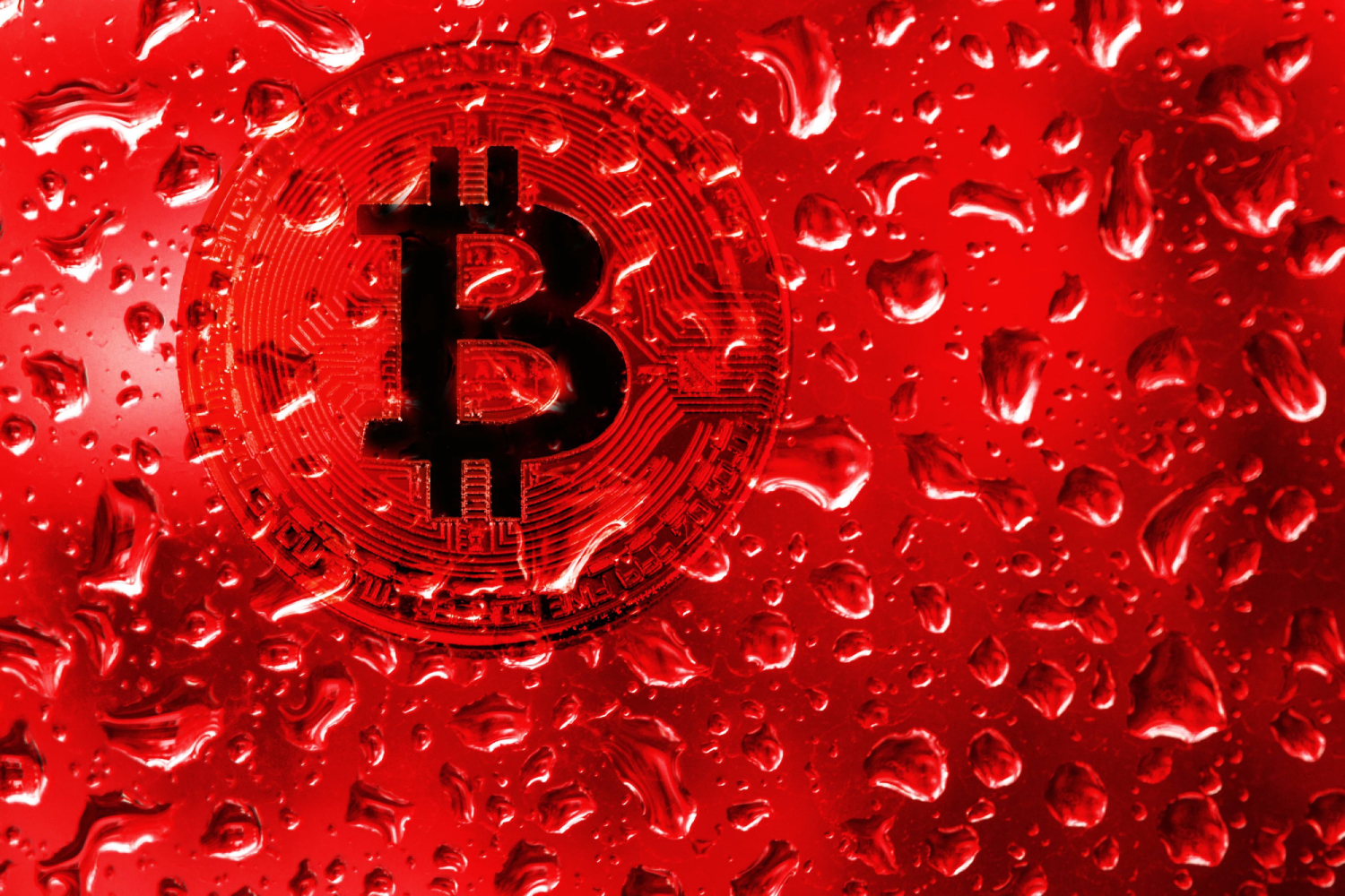 Dont Panic!!! Its just another crypto Bloodbath